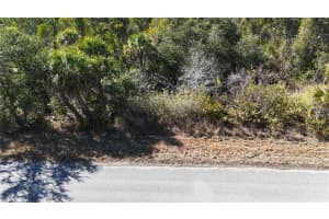 1071 FORRESTAL STREET, PORT CHARLOTTE, FL 33953 - MLS#MFRA4680313