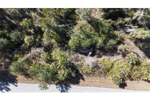 1071 FORRESTAL STREET, PORT CHARLOTTE, FL 33953 - MLS#MFRA4680313