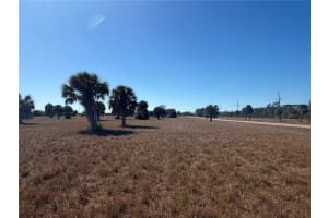 24 LARK DRIVE, PLACIDA, FL 33946 - MLS#MFRA4680320