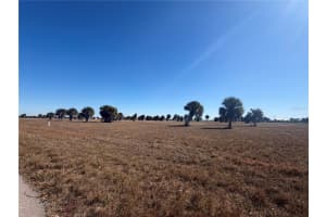 24 LARK DRIVE, PLACIDA, FL 33946 - MLS#MFRA4680320