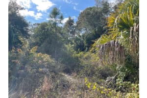 ABATE AVE #Lot 10, NORTH PORT, FL 34288 - MLS#MFRA4680331