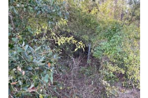 ABATE AVE #Lot 10, NORTH PORT, FL 34288 - MLS#MFRA4680331