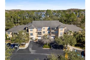 5125 Palm Springs Blvd #11208, TAMPA