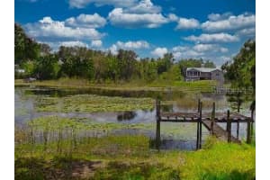 6340 LAND O LAKES, LAND O LAKES, FL 34638 - MLS#MFRA4680451