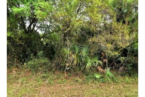 BACKERT RD., NORTH PORT, FL 34291 - MLS#MFRA4680718