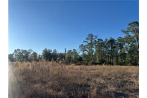 1303 HAMILTON AVENUE, LEHIGH ACRES, FL 33972 - MLS#MFRA4680816