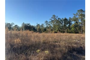 1303 HAMILTON AVENUE, LEHIGH ACRES, FL 33972 - MLS#MFRA4680816