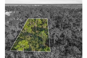 7123 SWEDEN BOULEVARD, PUNTA GORDA, FL 33982 - MLS#MFRA4680992