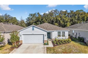 33692 SKY BLOSSOM CIRCLE, LEESBURG, FL 34788 - MLS#MFRA4681025