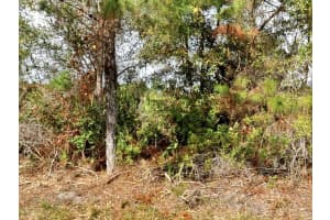 OHIO RD, NORTH PORT, FL 34291 - MLS#MFRA4681040