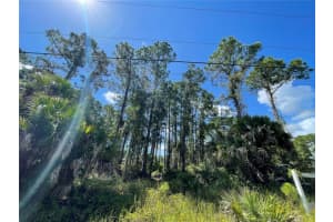 NOPPENBERG AVE #LOT 30, NORTH PORT, FL 34288 - MLS#MFRA4681053