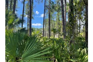 NOPPENBERG AVE #LOT 30, NORTH PORT, FL 34288 - MLS#MFRA4681053
