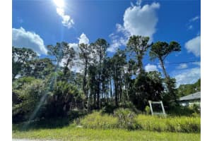 NOPPENBERG AVE #LOT 30, NORTH PORT, FL 34288 - MLS#MFRA4681053