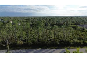 12157 TERKELSEN AVENUE, PORT CHARLOTTE, FL 33981 - MLS#MFRA4681604