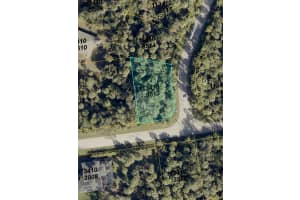 BLUEBERRY RD, NORTH PORT, FL 34288 - MLS#MFRA4681714