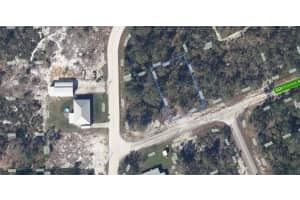 102 EDISON ROAD, LAKE PLACID, FL 33852 - MLS#MFRA4681805