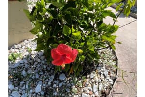 19358 EDGEWATER DRIVE, PORT CHARLOTTE, FL 33948 - MLS#MFRA4681818