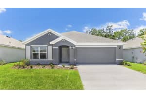 12007 Mountain Island Trl, PARRISH