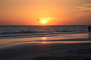 116 AVENIDA LA PALMA, NOKOMIS, FL 34275 - MLS#MFRA4682327