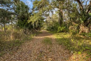 CLARK RD, SARASOTA, FL 34241 - MLS#MFRA4682614
