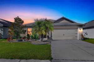 14407 Alistar Manor Dr, WIMAUMA
