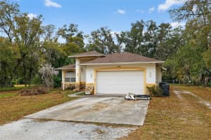 1006 BELL SHOALS LANE, BRANDON, FL 33511 - MLS#MFRA4682967