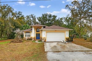 1006 BELL SHOALS LANE, BRANDON, FL 33511 - MLS#MFRA4682967