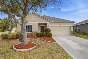 4126 91ST AVENUE, PARRISH, FL 34219 - MLS#MFRA4683032