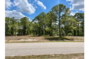 668 LAKE TINA DRIVE, LAKE PLACID, FL 33852 - MLS#MFRA4683172
