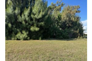 75 GREEN DOLPHIN DRIVE, PLACIDA, FL 33946 - MLS#MFRA4683286