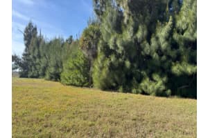 75 GREEN DOLPHIN DRIVE, PLACIDA, FL 33946 - MLS#MFRA4683286