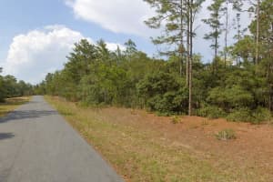 11033 TRIGGER TERRACE, CITRUS SPRINGS, FL 34433 - MLS#MFRA4683315