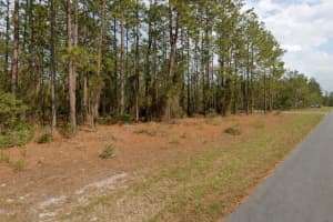 11033 TRIGGER TERRACE, CITRUS SPRINGS, FL 34433 - MLS#MFRA4683315