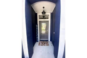 6020 MARTINGLADE PLACE, LITHIA, FL 33547 - MLS#MFRA4683584