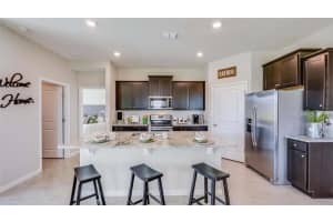 1532 LOVE GRASS TERRACE, PARRISH, FL 34219 - MLS#MFRA4683746