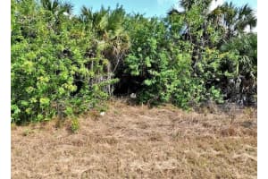 LOT: 4 EASTMAN CIRCLE, NORTH PORT, FL 34288 - MLS#MFRA4683784