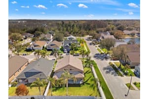 17343 LAWN ORCHID LOOP, LAND O LAKES, FL 34638 - MLS#MFRA4684047