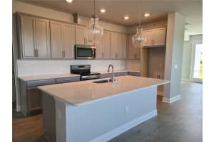 11732 RICHMOND TRAIL, PARRISH, FL 34219 - MLS#MFRA4684069