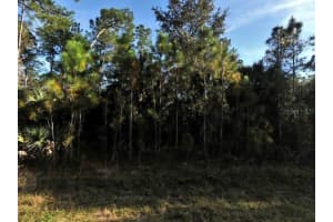 BIGNAY RD, NORTH PORT, FL 34288 - MLS#MFRA4684111