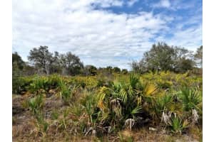 WYLAM DR, NORTH PORT, FL 34288 - MLS#MFRA4684116