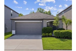 5554 Blue Azure Dr, WIMAUMA