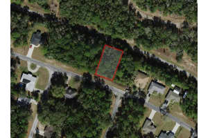 9875 SANDREE DRIVE, CITRUS SPRINGS, FL 34434 - MLS#MFRA4684575