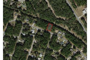 9875 SANDREE DRIVE, CITRUS SPRINGS, FL 34434 - MLS#MFRA4684575