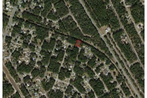 9875 SANDREE DRIVE, CITRUS SPRINGS, FL 34434 - MLS#MFRA4684575