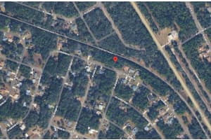 9875 SANDREE DRIVE, CITRUS SPRINGS, FL 34434 - MLS#MFRA4684575