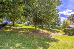 16846 FLORENCE VIEW DRIVE, MONTVERDE, FL 34756 - MLS#MFRA4684588