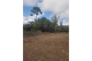 S SAN MATEO DR, NORTH PORT, FL 34286 - MLS#MFRA4685145