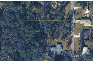 5266 ROMANS AVENUE, INVERNESS, FL 34452 - MLS#MFRA4685297