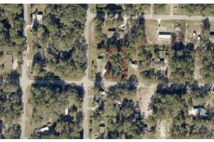 11851 14TH STREET, OCALA, FL 34482 - MLS#MFRA4685333