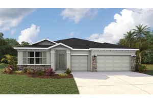 10409 Woodland Garden Way, PARRISH